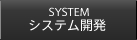 システム開発