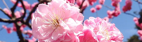2101若手向けビジネス基礎研修　～「常識」・「マナー」・「基本」のフルバージョン（２日間）