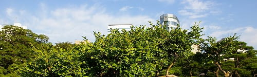 【公開講座】仕事の進め方研修~チームの仕事効率を高める編(1日間)
