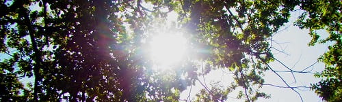 【公開講座】節電力強化研修(半日3時間)