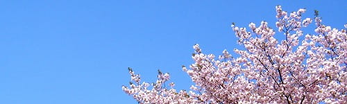 【公開講座】(学生向け)人事担当者も唸る!アポが取れる電話応対研修