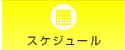 スケジュール