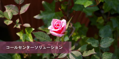 コールセンター