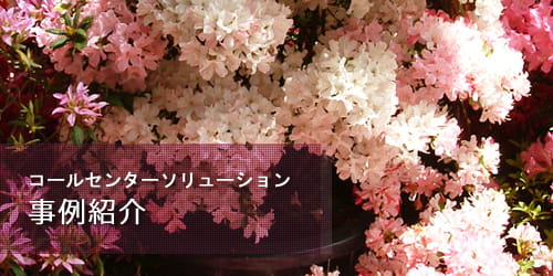 コールセンター 実例紹介