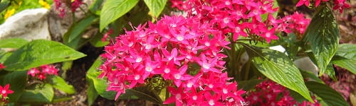 2387クレーム対応研修　～主任・主事向け防止編（２日間）