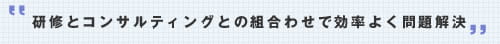 研修とコンサルティングとの組み合わせで効率よく問題解決