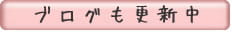 ブログも更新中