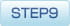 step9