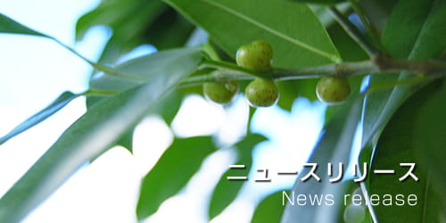 ニュースリリース