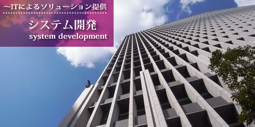 システム開発