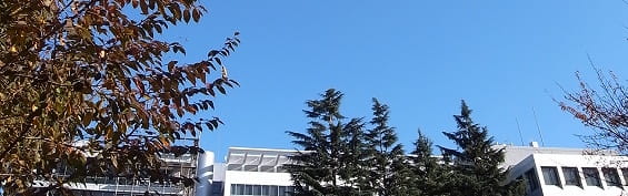 検察庁職員向け研修