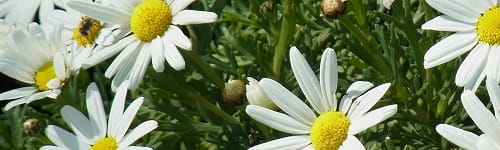 2161セクハラ・パワハラ研修（半日間）