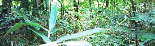 部門経営者育成研修～次世代の中核人材を育成する