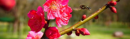 部下指導研修~実績と受講者の声