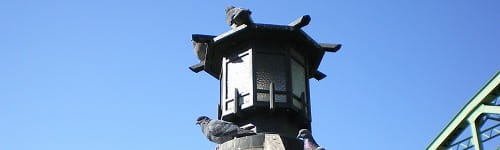 図解思考力研修を語る