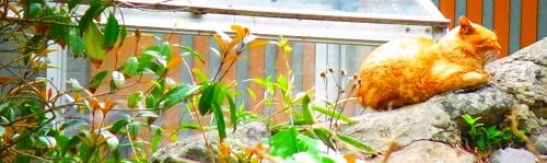４０歳代キャリア研修
