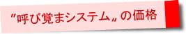〝呼び覚まシステム〟の価格