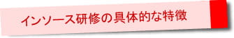 インソース研修の具体的な特徴