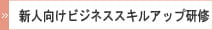 新人向けビジネススキルアップ研修