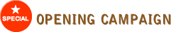 OPENING CAMPAIGN