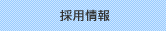 採用情報