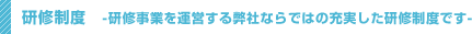 採用実績