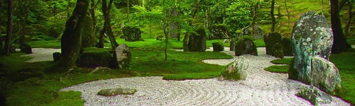 2455リスクマネジメント研修　～コンプライアンスの視点で不祥事を防ぐ（１日間）