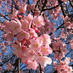 1594新規採用職員研修　～ビジネス基礎・仕事の進め方編（１日間）