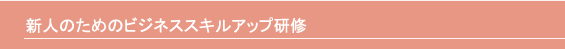 �V�l�̂��߂̃r�W�l�X�X�L���A�b�v���C