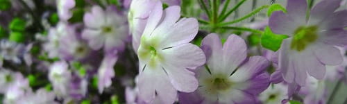 Training for Corporate Development Department