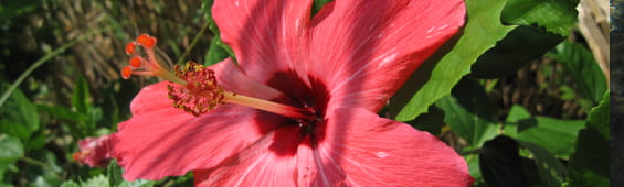 販売代理店向けスタッフ育成研修(1日間)