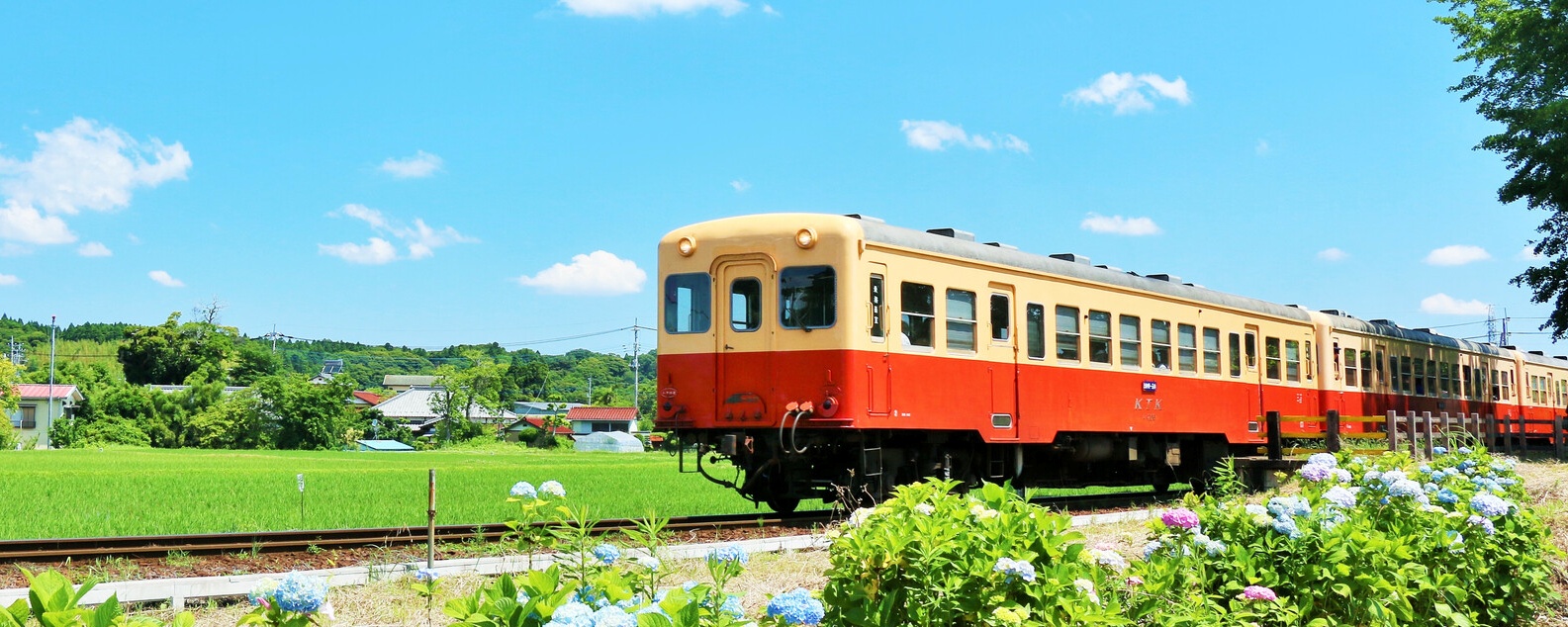 ＣＳ向上研修～車掌向け接客向上編（１日間）