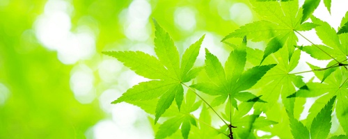 働き方改善研修～ストレス軽減と業務効率の向上編（１日間）