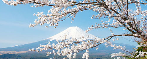 （外国人・帰国子女向け）日本人と一緒に働くためのコミュニケーション研修（１日間）