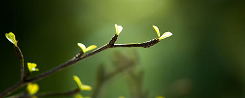 新人向けレジリエンス向上研修～失敗をチャンスに変える編（１日間）