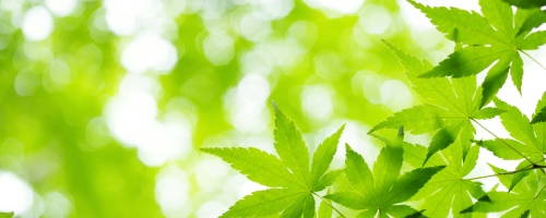 第二種衛生管理者講座（２日間）