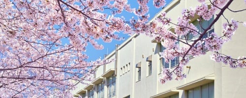 地方自治制度を知る研修（半日間）