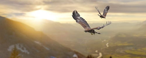 ナンバー２研修～名脇役豊臣秀長から学ぶ統治能力と実務能力（１日間）