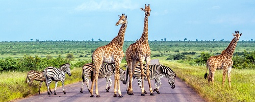 不機嫌ハラスメント(フキハラ)防止研修~発生原因の理解と留意すべき5つのポイント(半日間)