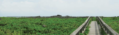 【公開講座】達成力強化研修~仕事を最後までやり抜く力を身に付ける