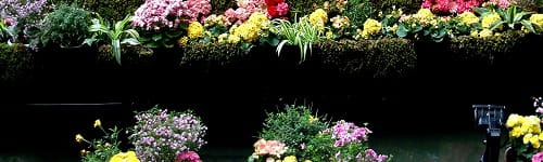 （管理職向け）自社課題＆事業分析研修（１日間×７回）