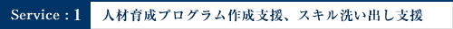 人材育成プログラム作成支援、スキル洗い出し支援