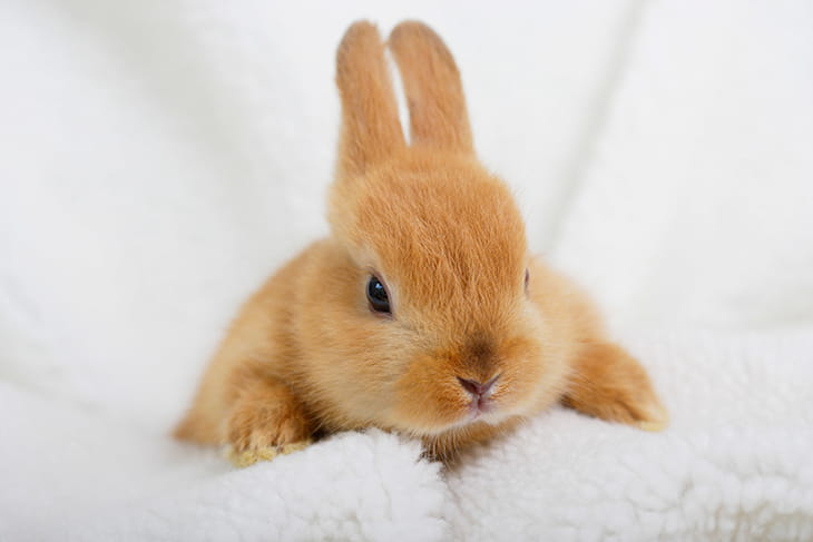 まず会場の確保から