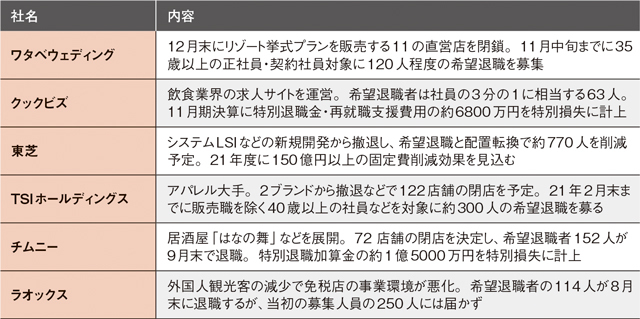 ●希望退職者を募集した最近の主な企業