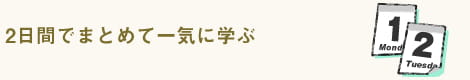 ◆2日間でまとめて一気に学ぶ