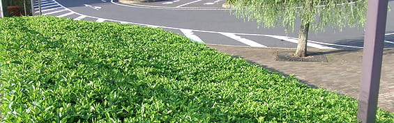 大学向け民間経営研修 ~大学経営を考える編(1日間)