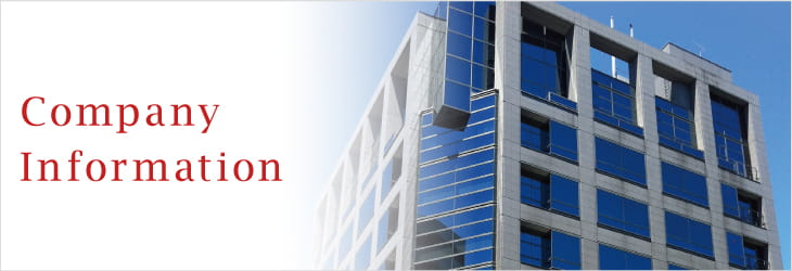 Company Information