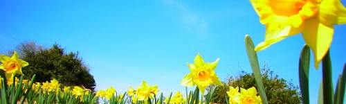 Training designed for Service Providers of Wedding or Funeral Ceremonies