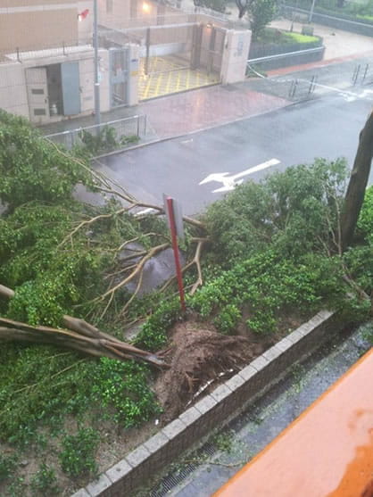 香港の台風