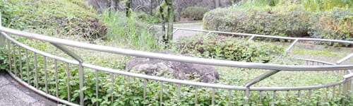 政策形成研修 ~政策立案から彫琢発表まで(4日間):現場で使える研修